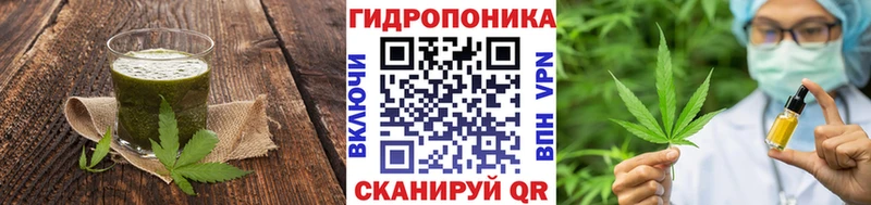 Купить где  Южно-Сухокумск  Canna-Cookies конопля 